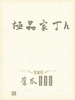 极品家丁h