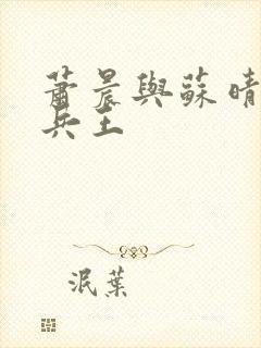 萧晨与苏晴全能兵王