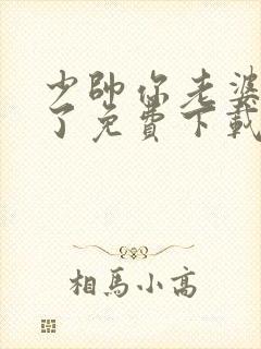 少帅你老婆又跑了免费下载txt