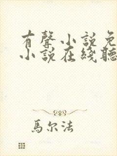 有声小说免费听小说在线听