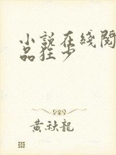 小说在线阅读极品狂少