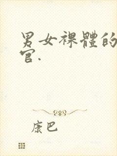 男女裸体的性器官.