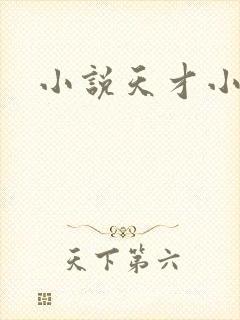 小说天才小毒妃封面