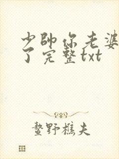 少帅你老婆又跑了完整txt封面