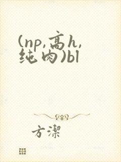 (np,高h,纯肉)bl封面