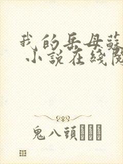 我的岳母苏沛真 小说在线阅读