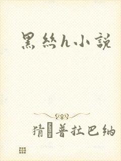 黑丝h小说封面