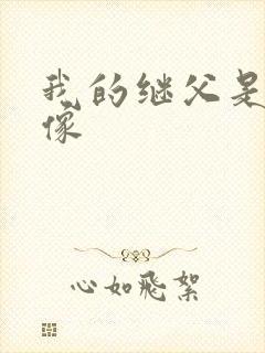 我的继父是我偶像