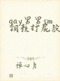 gay男男sm调教打屁股惩罚