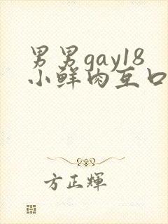 男男gay18小鲜肉互口