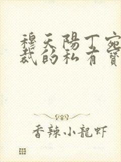 穆天阳丁宛晴总裁的私有宝贝