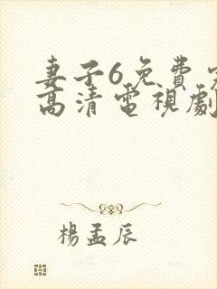 妻子6免费完整高清电视剧看