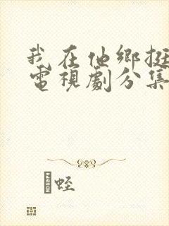 我在他乡挺好的电视剧分集剧情介绍