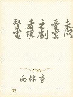 贤者之爱未删减电视剧云网盘封面