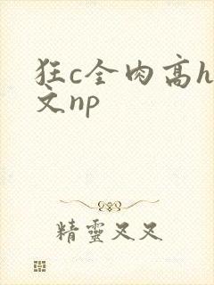 狂c全肉高h辣文np