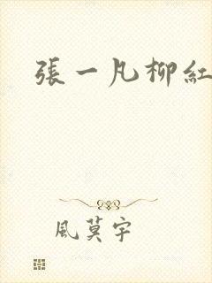 张一凡柳红封面