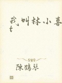我叫林小喜txt封面