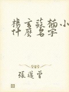 杨玄苏楠小说叫什么名字