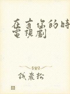 在有你的时光里电视剧