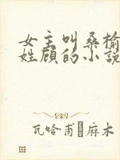 女主叫桑榆男主姓顾的小说