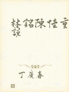 林铭陈佳重生小说封面