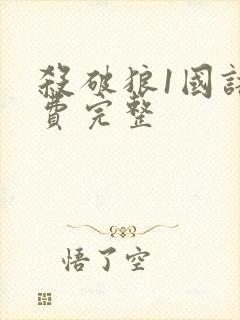 杀破狼1国语免费完整