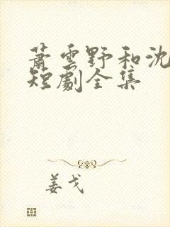 萧云野和沈昭宁短剧全集