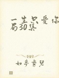 一生只爱你大结局30集