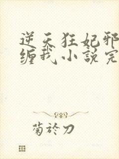 逆天狂妃邪王别缠我小说完整版本