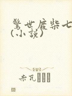 惊世废柴七小姐(小说)封面