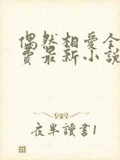 偶然相爱全文免费最新小说