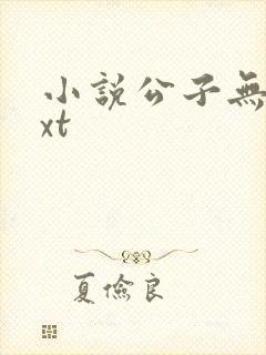 小说公子无双txt