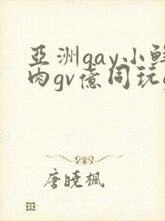 亚洲gay小鲜肉gv亿同玩gv