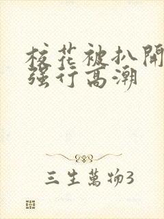 校花被扒开双腿强行高潮封面