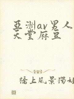亚洲av男人的天堂麻豆
