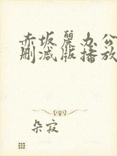 赤坂丽办公室无删减版播放