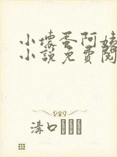 小坏蛋阿姨官场小说免费阅读封面