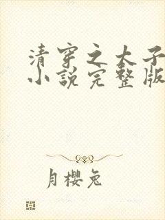 清穿之太子娇妃小说完整版