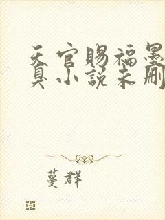 天官赐福墨香铜臭小说未删版全文封面