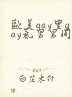欧美gay里gay气男男同性恋网站