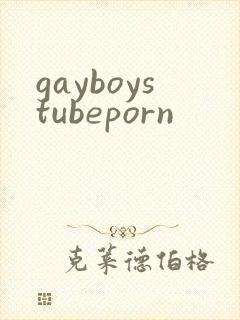 gayboystubeporn