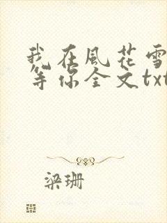 我在风花雪月里等你全文txt下载