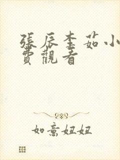 张辰李茹小说免费观看