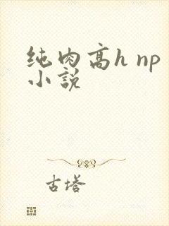纯肉高h np小说