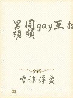 男同gay互插视频