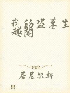 我的盗墓生涯笔趣阁