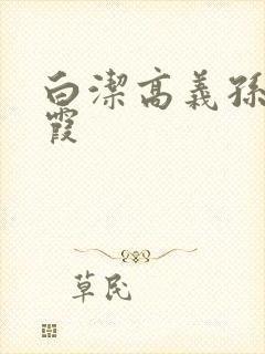 白洁高义孙倩苏霞