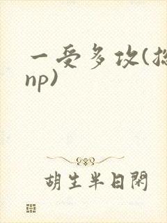 一受多攻(总受np)