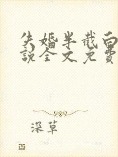 失婚半截白菜小说全文免费阅读