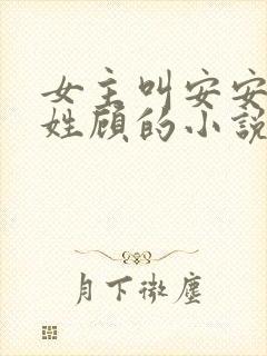 女主叫安安男主姓顾的小说封面